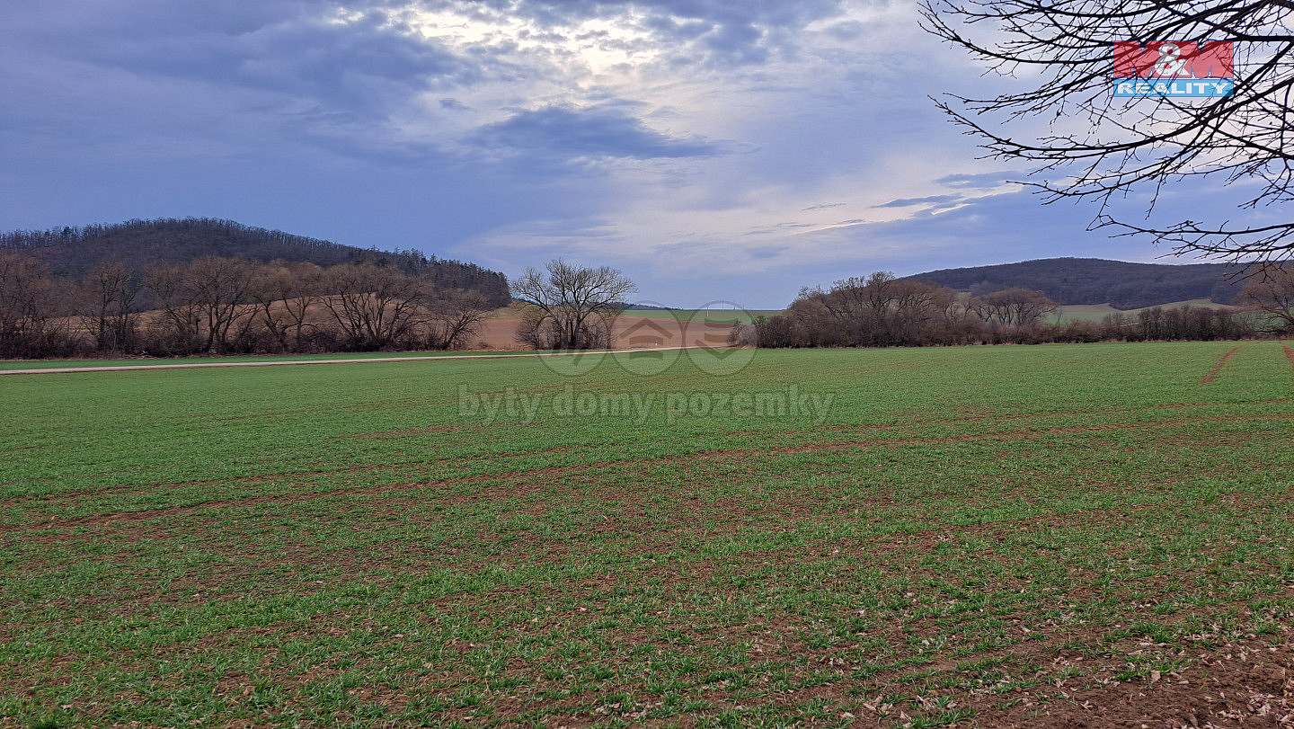 Prodej pole 4 185 m² — photo 3