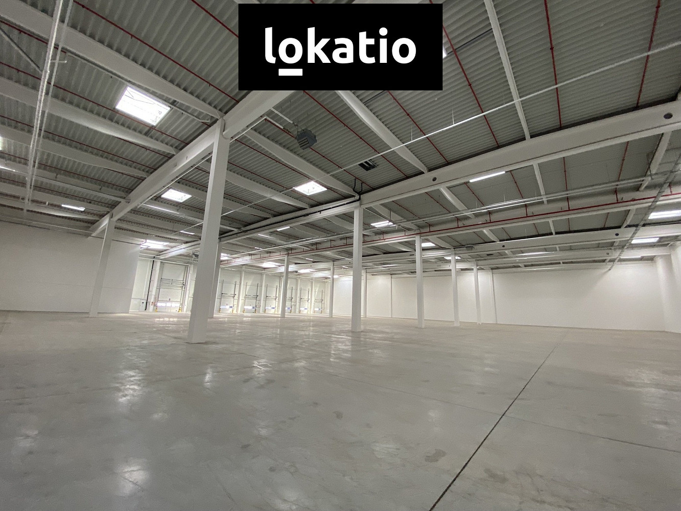 Pronájem skladovacích prostor 5 195 m² — photo 4