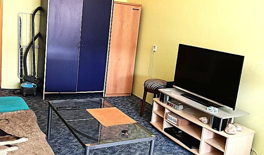 Pronájem bytu 1+kk 28 m², Brno – náhled fotky 6