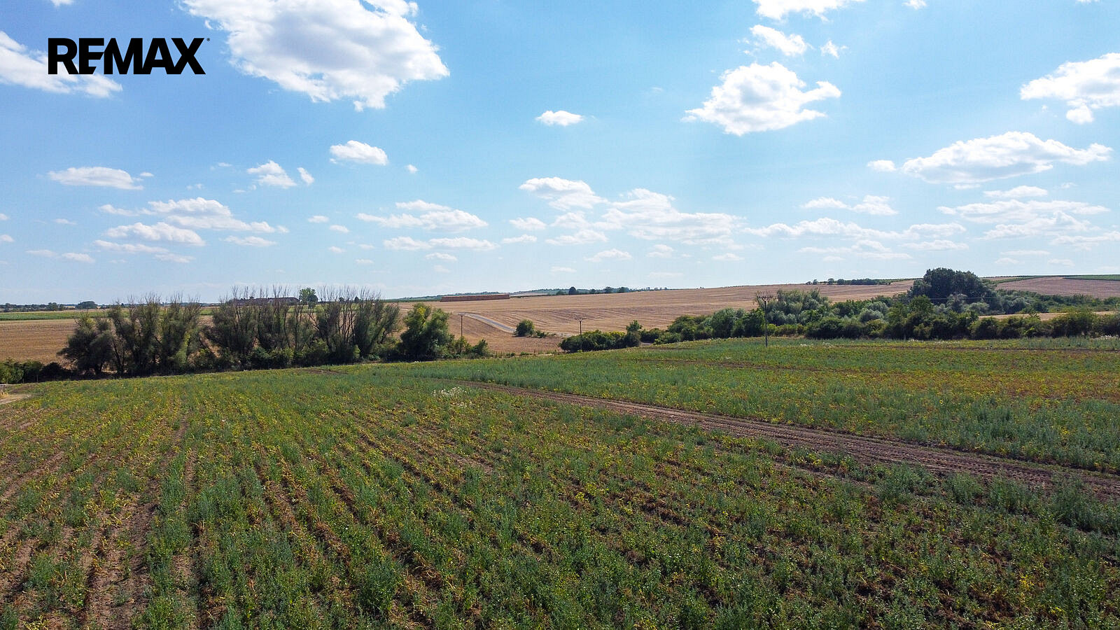 Prodej pozemku 39 611 m² – fotografie 5