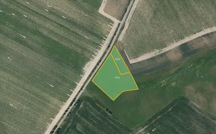 Prodej louky 6 872 m², Okrouhlice - Babice, okres Havlíčkův Brod