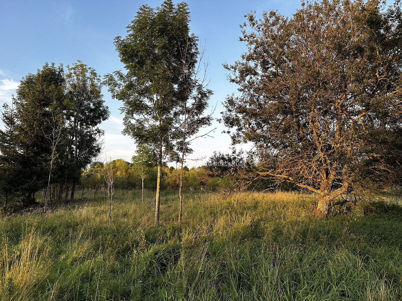 Prodej stavebního pozemku 1 713 m² – fotografie 2