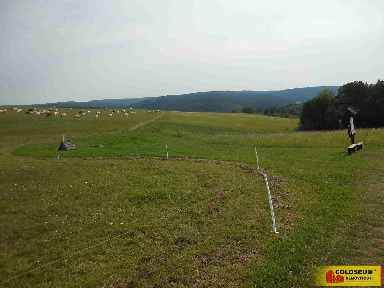 Prodej pole 12 004 m² – fotografie 5