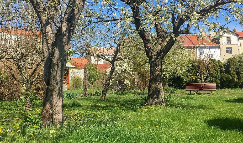 Prodej domu 1 046 m² s pozemkem 3 200 m², Kroměříž – náhled fotky 10