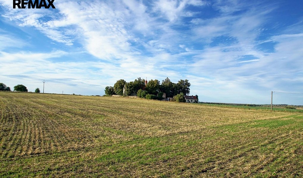 Prodej stavebního pozemku 1 333 m², Středokluky – náhled fotky 7