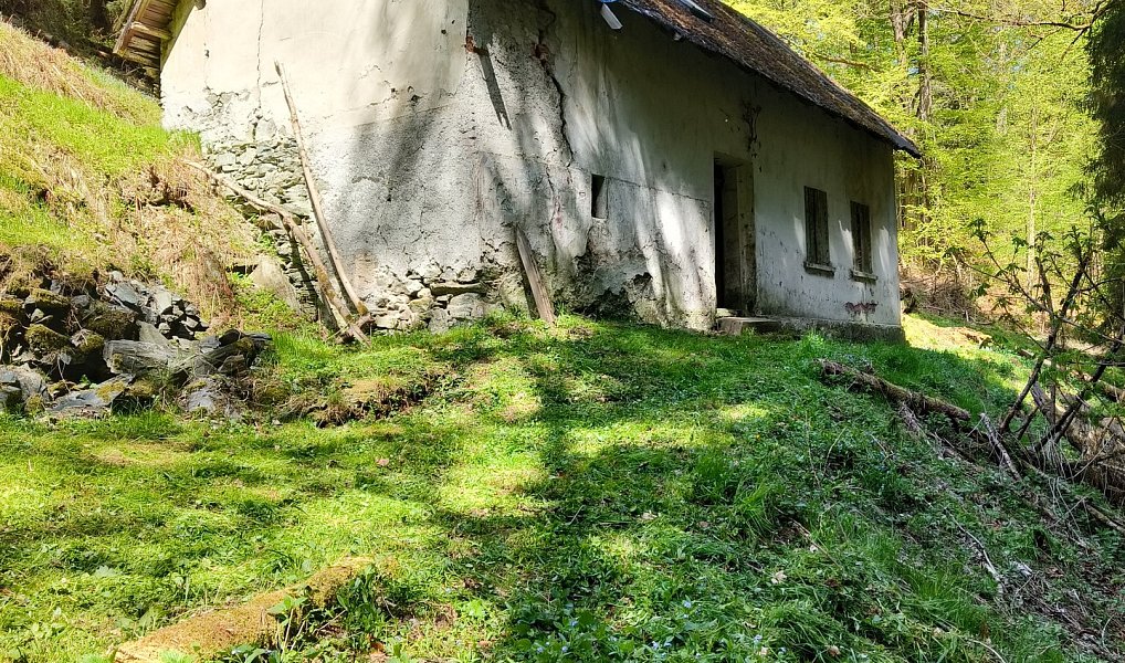 Prodej stavebního pozemku 3 282 m², Koberovy – náhled fotky 8