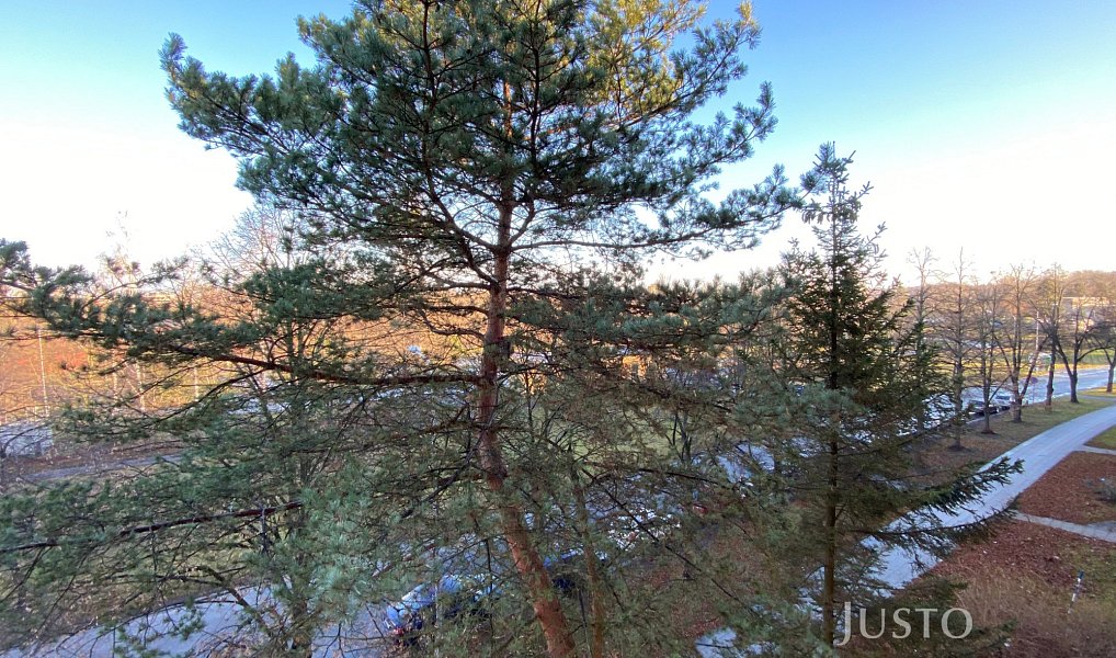 Pronájem bytu 2+1 54 m², Frýdek-Místek – náhled fotky 13