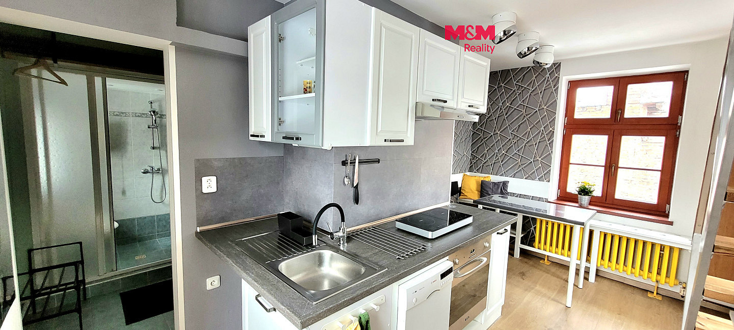 Pronájem bytu 1+1 37 m²