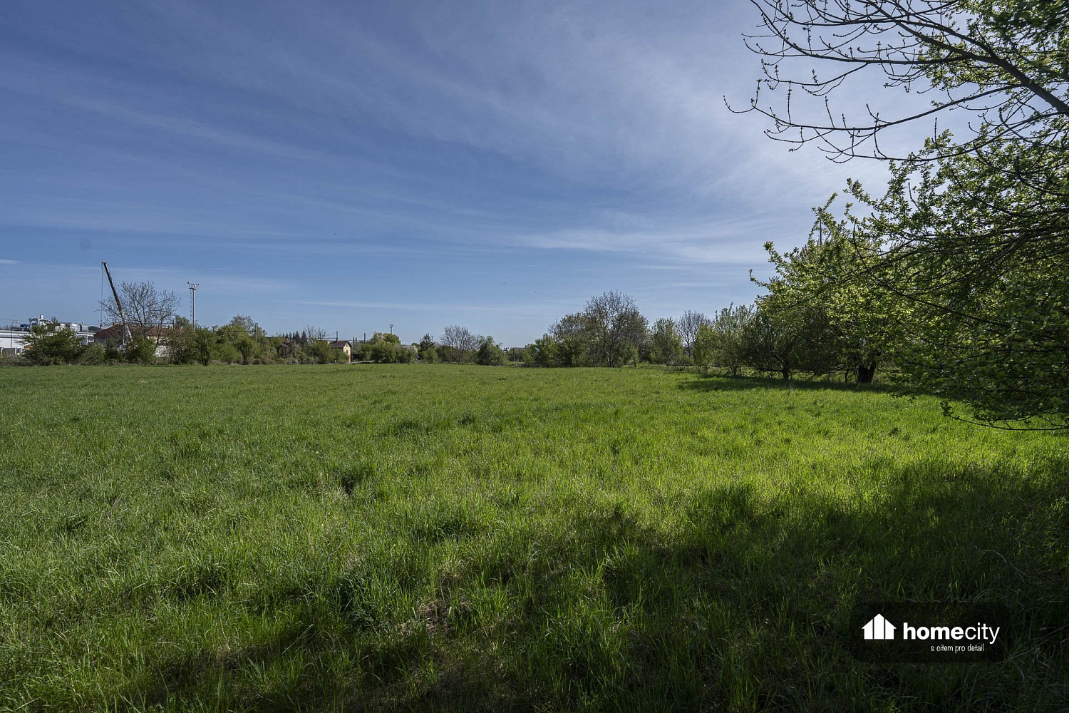 Prodej komerčního pozemku 9 749 m² – fotografie 5