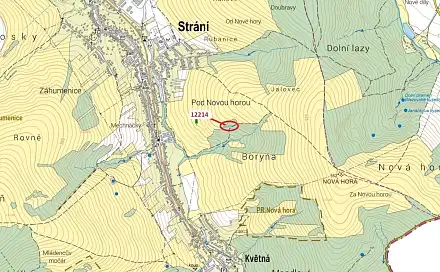 Dražba lesa 597 m², Strání