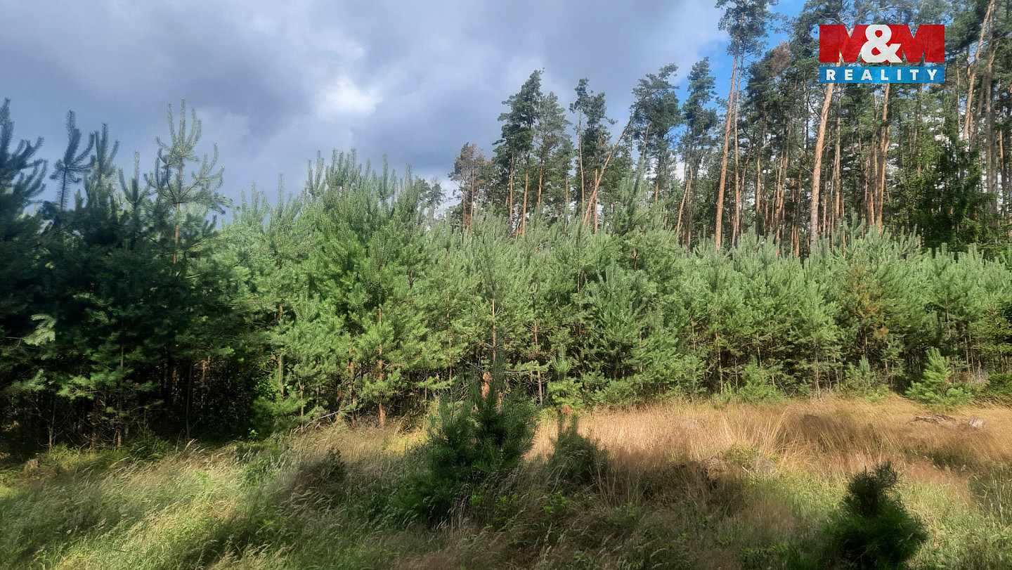 Prodej lesa 108 447 m² — photo 2