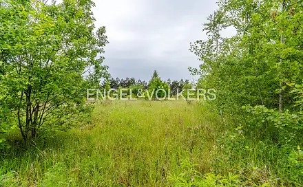 Pronájem komerčního pozemku 30 283 m², Chýnovská, Tábor