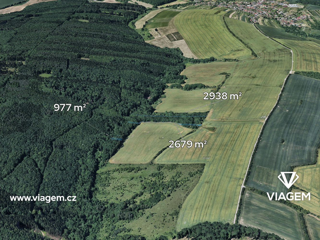 Prodej lesa 3 596 m²