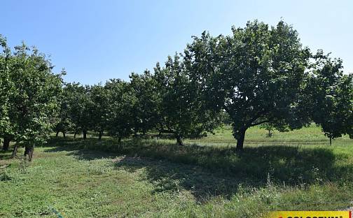 Prodej stavebního pozemku 550 m², Velké Pavlovice, okres Břeclav
