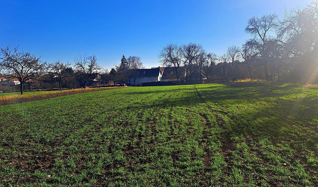 Prodej pole 4 979 m², Štěchov – náhled fotky 10