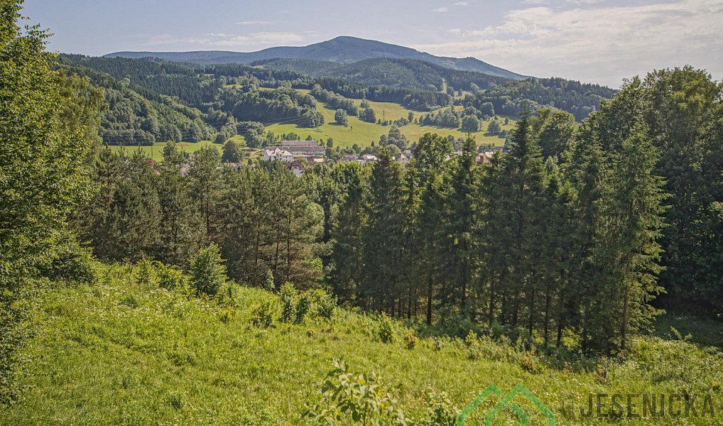 Prodej pole 12 392 m², Lipová-lázně – náhled fotky 7