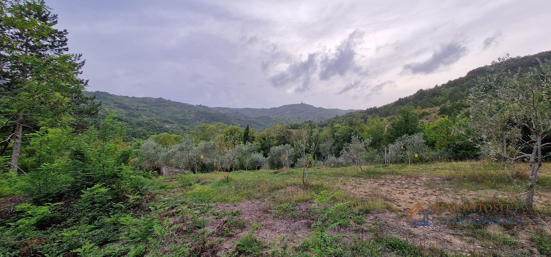Prodej stavebního pozemku 9 054 m² - Widok 6