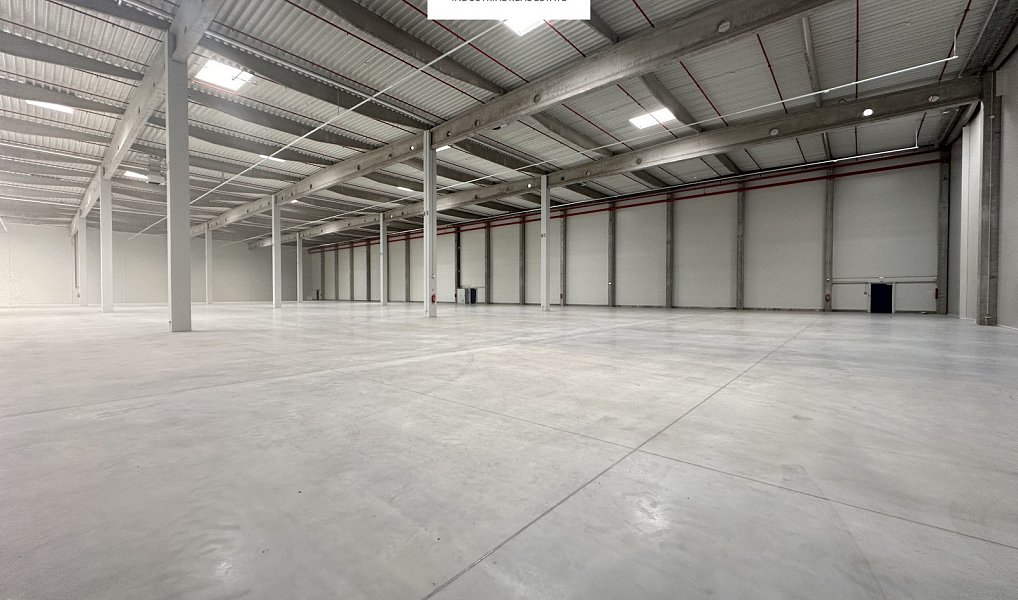 Pronájem skladovacích prostor 5 000 m², Cheb – náhled fotky 8