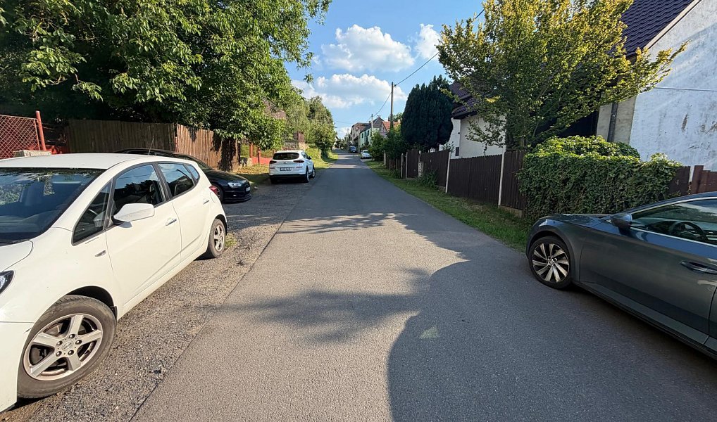 Prodej zahrady 507 m², Žerotín – náhled fotky 8