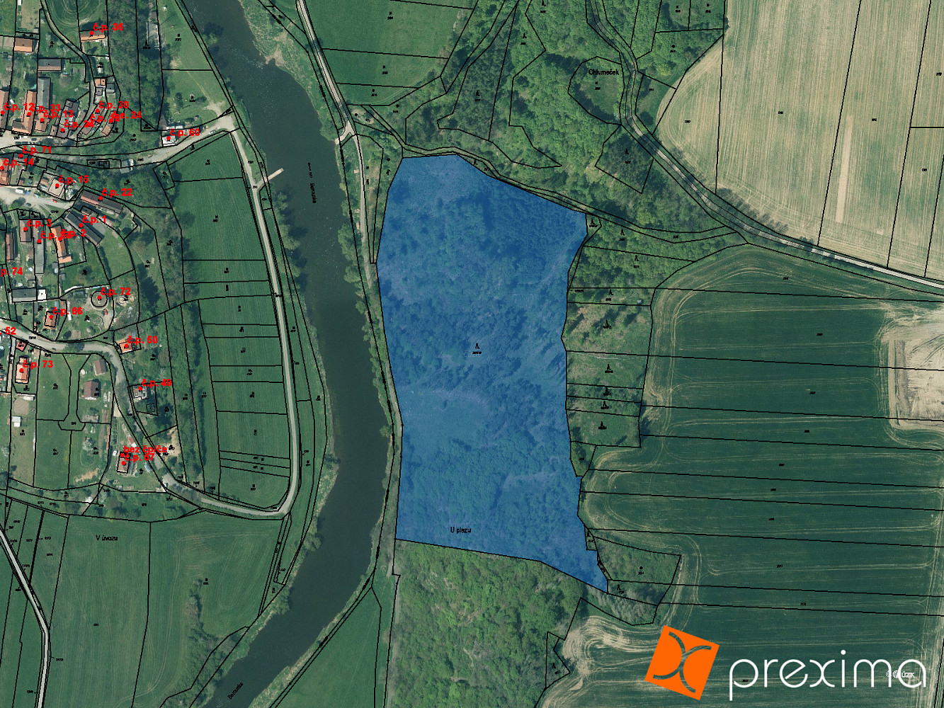 Prodej lesa 13 289 m²