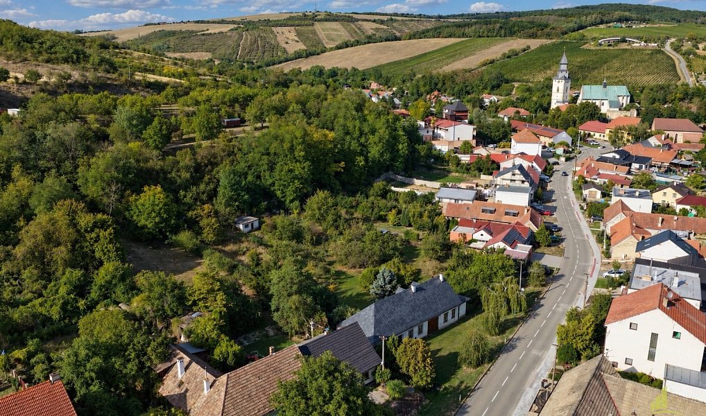Prodej domu 200 m² s pozemkem 3 500 m², Kurdějov – náhled fotky 2