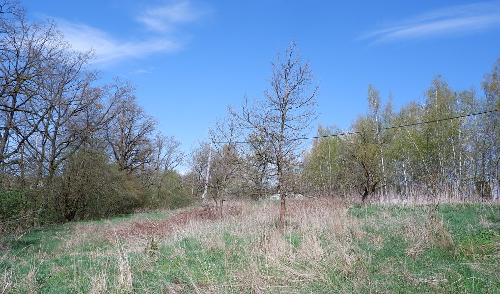 Prodej domu 150 m² s pozemkem 6 812 m², Uhelná Příbram – náhled fotky 8