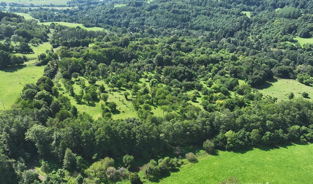 Prodej louky 199 287 m², Vojkovice – náhled fotky 14