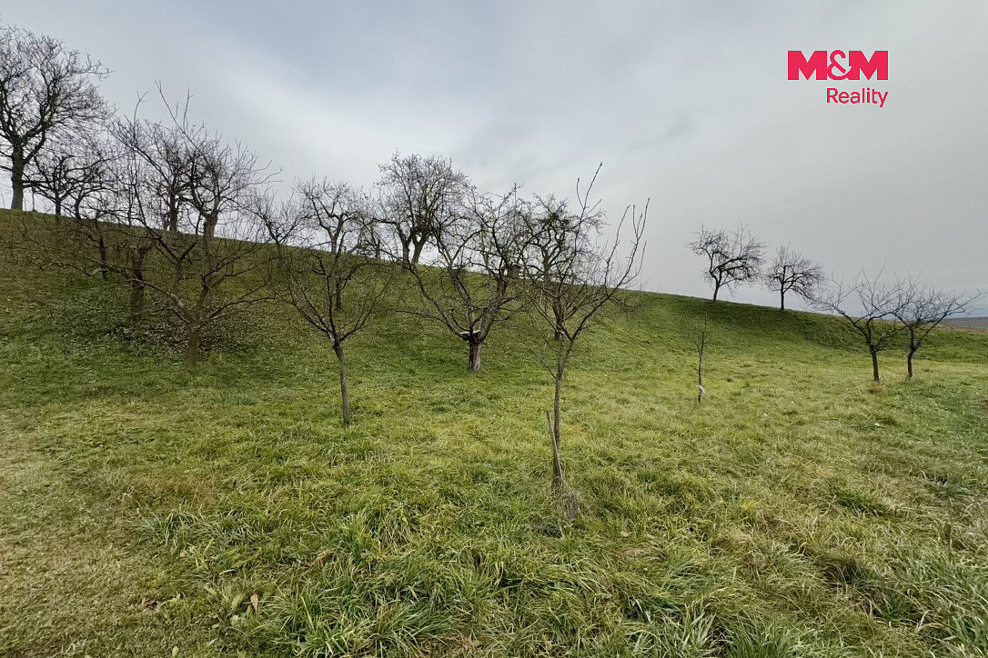 Prodej zahrady 901 m² – fotografie 5