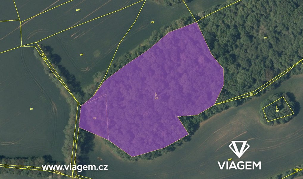 Prodej lesa 13 707 m², Vysoký Újezd – náhled fotky 4