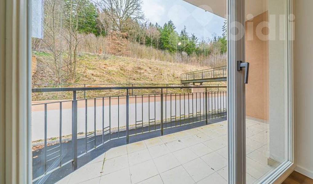 Prodej bytu 2+kk 85 m², Mariánské Lázně – náhled fotky 14