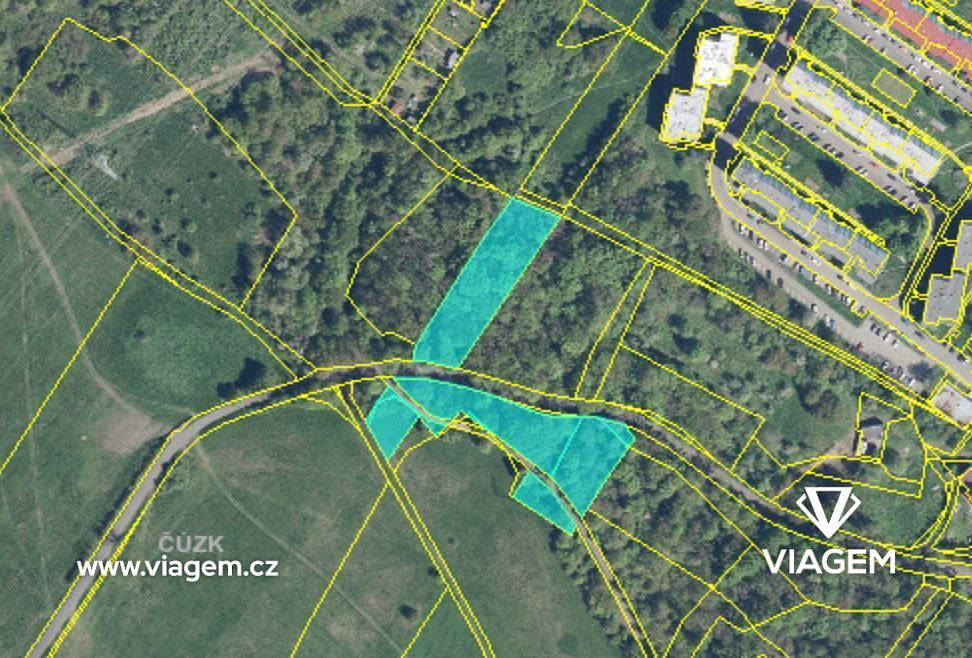 Prodej lesa 5 998 m² – fotografie 2