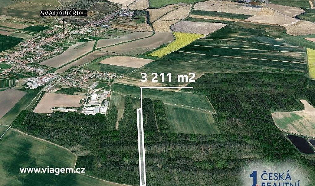 Prodej lesa 3 211 m², Svatobořice-Mistřín – náhled fotky 2