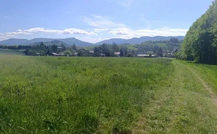 Prodej stavebního pozemku 1 474 m², Lichnov, okres Nový Jičín