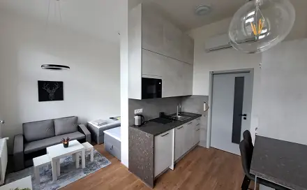 Pronájem bytu 1+kk 31 m², Koliště, Brno - Černá Pole