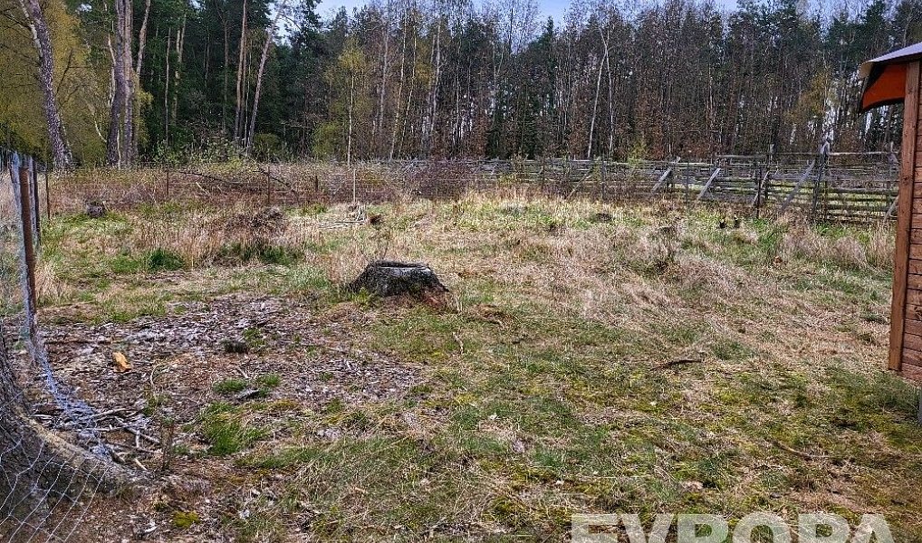Prodej lesa 2 152 m², Břežany – náhled fotky 10