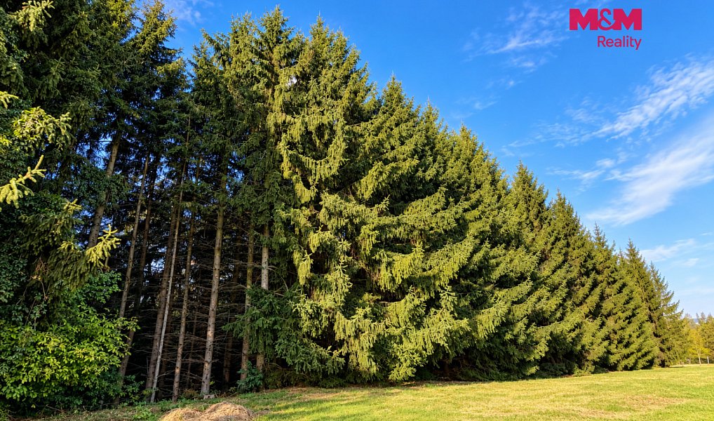Prodej zahrady 4 062 m², Uhelná Příbram – náhled fotky 4