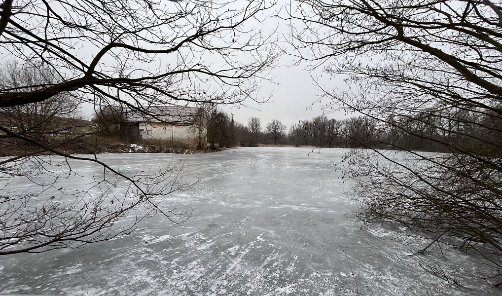 Prodej pole 2 020 000 m², Pavlov – náhled fotky 9