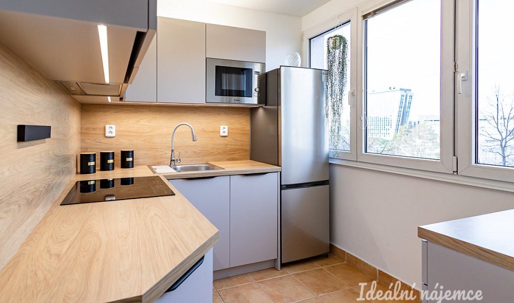 Pronájem bytu 2+1 49 m², Praha – náhled fotky 4