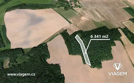 Prodej lesa 2 021 m², Koloveč, okres Domažlice