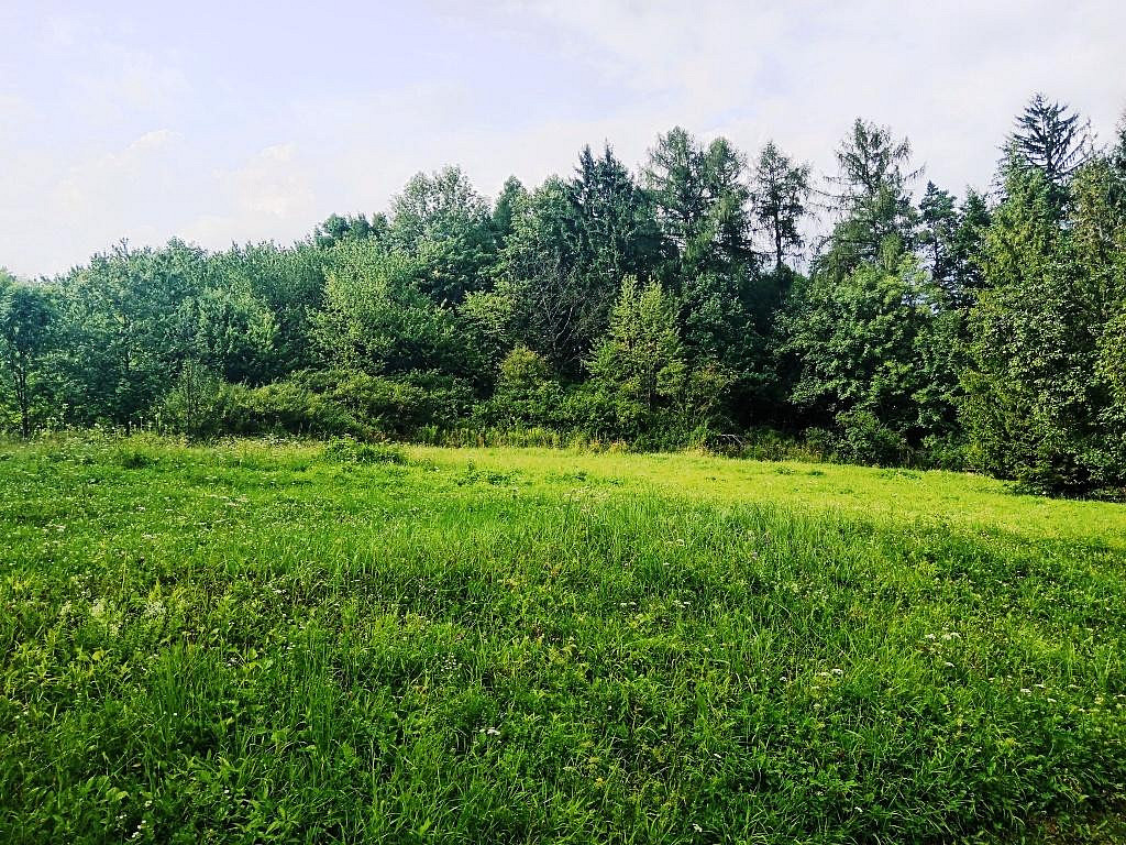Prodej zahrady 3 200 m²