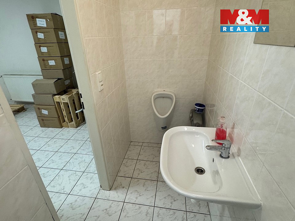 Fotka 11 z 14