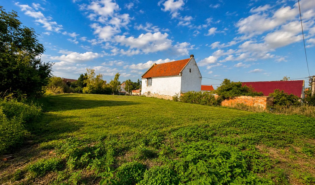 Prodej stavebního pozemku 475 m², Žatec – náhled fotky 3