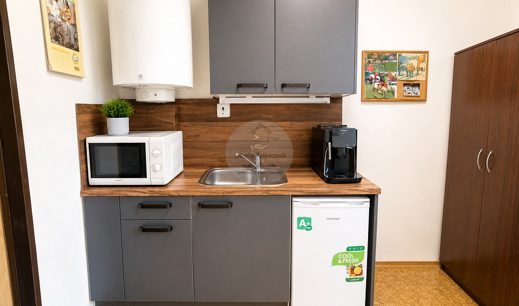 Prodej obchodních prostor 648 m², Ostrava – náhled fotky 6
