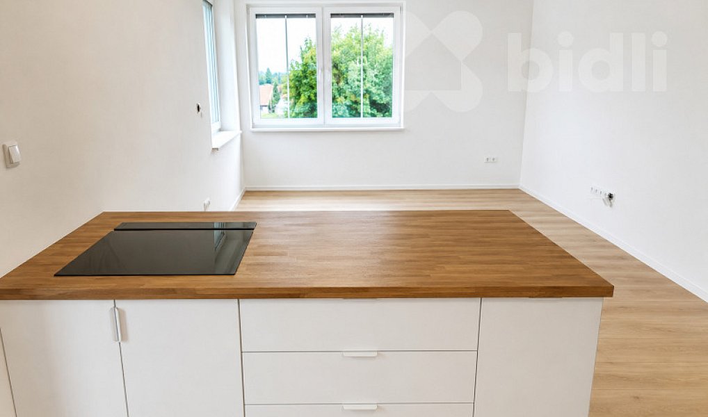Pronájem bytu 2+kk 57 m², Žamberk – náhled fotky 10