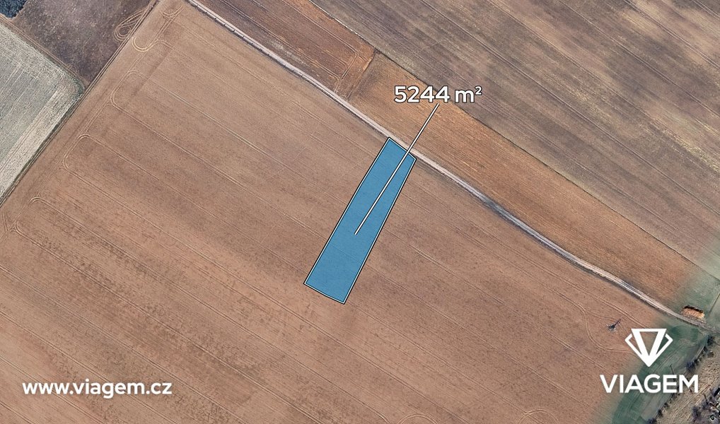 Prodej pole 5 244 m², Kostelní Hlavno – náhled fotky 2