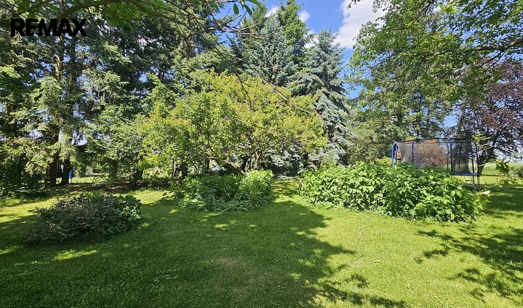 Prodej stavebního pozemku 1 391 m², Oleška – náhled fotky 3