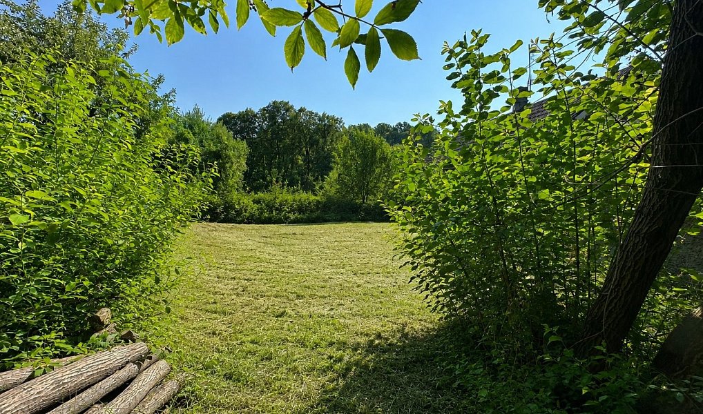 Prodej stavebního pozemku 2 600 m², Mikulovice – náhled fotky 2
