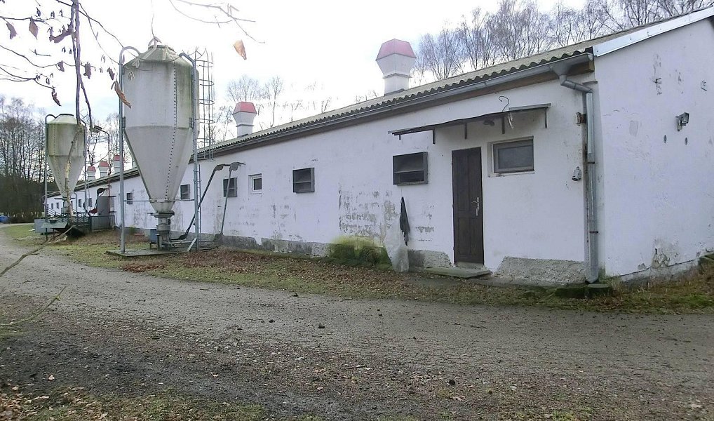 Prodej zemědělského objektu 2 000 m², Majdalena – náhled fotky 6