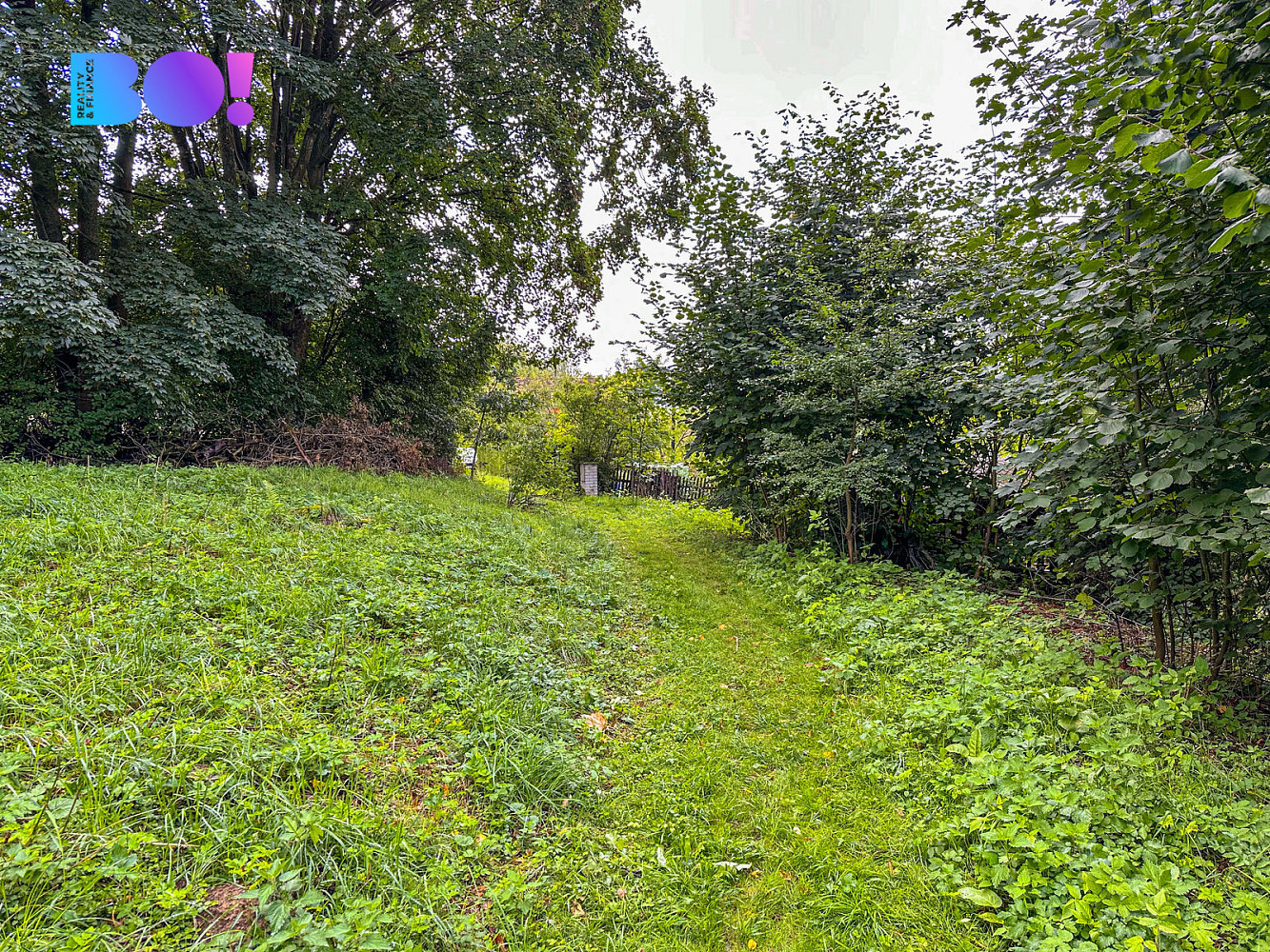 Prodej stavebního pozemku 3 959 m² – fotografie 4