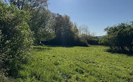 Prodej pozemku 22 012 m², Čížkov - Nýřany